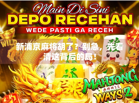 新浦京麻将胡了？别急，先看清这背后的局！