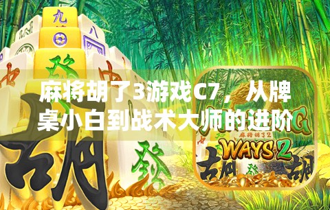 麻将胡了3游戏C7，从牌桌小白到战术大师的进阶之路，你真的懂它吗？