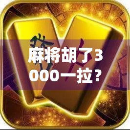 麻将胡了3000一拉?别让小赌怡情变成大祸临门! 麻将胡了3000一拉?别让小赌怡情变成大祸临门!