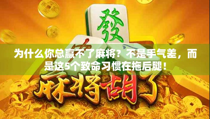 为什么你总赢不了麻将？不是手气差，而是这5个致命习惯在拖后腿！